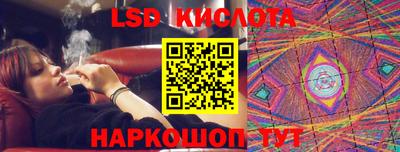 ГАЛЛЮЦИНОГЕННЫЕ ГРИБЫ Лесной